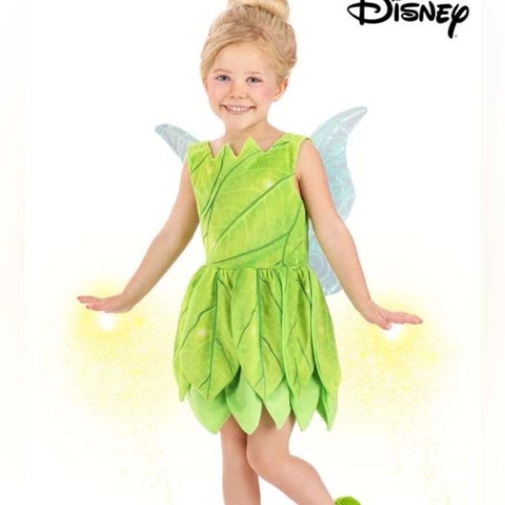 Disney Tinkerbell Costume